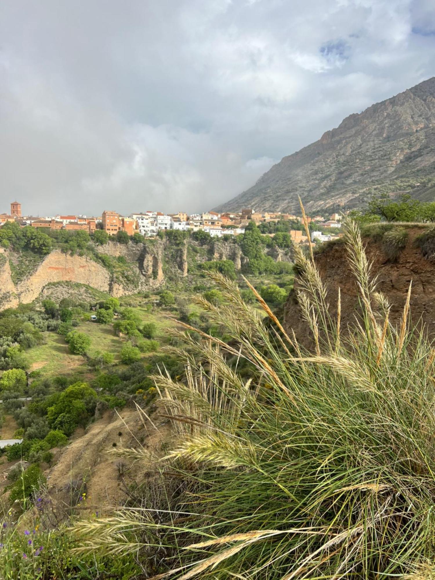 Hotel Casa Morayma, Lecrin, Granada (Adults Only) Acequias Zewnętrze zdjęcie